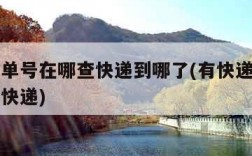 有快递单号在哪查快递到哪了(有快递单号到哪里查快递)