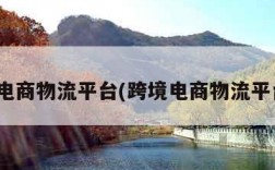 跨境电商物流平台(跨境电商物流平台JX)