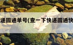 查询快递圆通单号(查一下快递圆通快递单号)