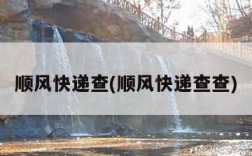 顺风快递查(顺风快递查查)