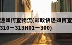 邮政快递如何查物流(邮政快递如何查物流跟踪信息310一313H01一300)