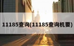 11185查询(11185查询机要)