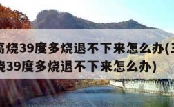 宝宝高烧39度多烧退不下来怎么办(三岁宝宝高烧39度多烧退不下来怎么办)