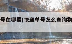 快递单号在哪看(快递单号怎么查询物流到哪里了)