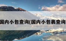 国内小包查询(国内小包裹查询)