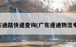 广东通路快递查询(广东速通物流电话)