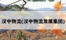 汉中物流(汉中物流发展集团)