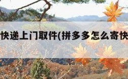 怎么寄快递上门取件(拼多多怎么寄快递上门取件)