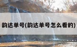 韵达单号(韵达单号怎么看的)