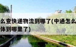 中通怎么查快递物流到哪了(中通怎么查看快递的具体到哪里了)