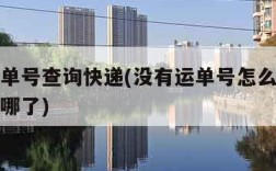输入运单号查询快递(没有运单号怎么查快递物流到哪了)