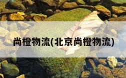 尚橙物流(北京尚橙物流)