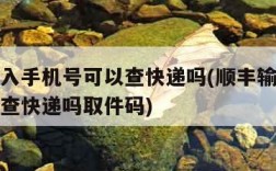 顺丰输入手机号可以查快递吗(顺丰输入手机号可以查快递吗取件码)