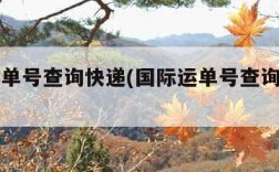 国际运单号查询快递(国际运单号查询快递入口)