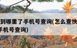 查快递到哪里了手机号查询(怎么查快递到哪里了?手机号查询)