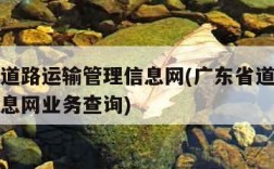 广东省道路运输管理信息网(广东省道路运输管理信息网业务查询)