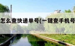 手机上怎么查快递单号(一键查手机号查物流)