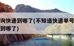 怎么查询快递到哪了(不知道快递单号怎么查询快递到哪了)