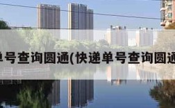快递单号查询圆通(快递单号查询圆通极兔)