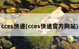 cces快递(cces快递官方网站)