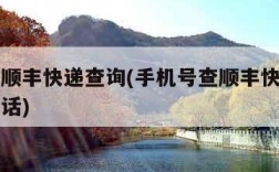 手机号顺丰快递查询(手机号查顺丰快递单号查询电话)