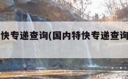 国内特快专递查询(国内特快专递查询收件方)