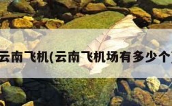 云南飞机(云南飞机场有多少个)