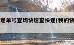 百世快递单号查询快速查快递(我的快递到哪里了)