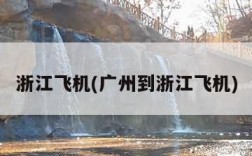 浙江飞机(广州到浙江飞机)