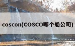 coscon(COSCO哪个船公司)