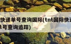 tnt快递单号查询国际(tnt国际快递查询单号查询追踪)