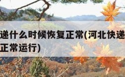 河北快递什么时候恢复正常(河北快递什么时候恢复正常运行)