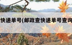 邮政查快递单号(邮政查快递单号查询入口官网)
