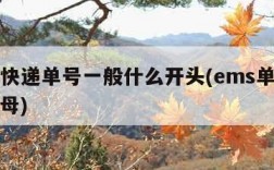 ems快递单号一般什么开头(ems单号开头字母)