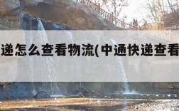 中通快递怎么查看物流(中通快递查看物流到哪了)
