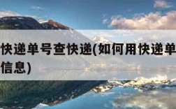 如何用快递单号查快递(如何用快递单号查快递物品信息)