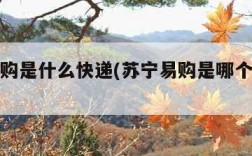 苏宁易购是什么快递(苏宁易购是哪个快递送货)