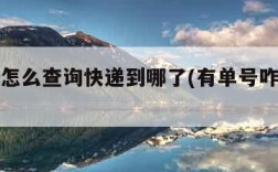 有单号怎么查询快递到哪了(有单号咋查快递)