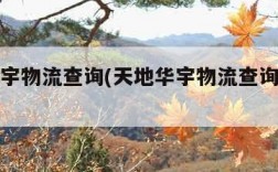 天地华宇物流查询(天地华宇物流查询快速查询)