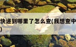 查中通快递到哪里了怎么查(我想查中通快递到哪了)
