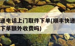 顺丰快递电话上门取件下单(顺丰快递电话上门取件下单额外收费吗)