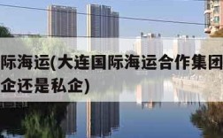 大连国际海运(大连国际海运合作集团有限公司是国企还是私企)