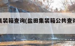 盐田集装箱查询(盐田集装箱公共查询vgm)