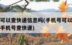 手机号可以查快递信息吗(手机号可以查快递信息吗手机号查快递)