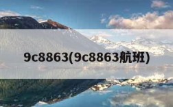 9c8863(9c8863航班)