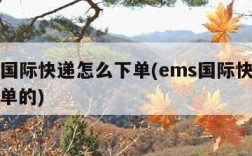 ems国际快递怎么下单(ems国际快递怎么下单的)