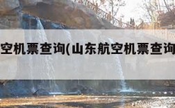 山东航空机票查询(山东航空机票查询网上订票)