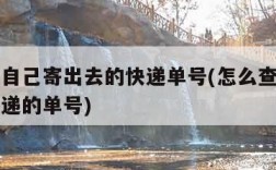 如何查自己寄出去的快递单号(怎么查自己寄出的快递的单号)