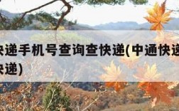 中通快递手机号查询查快递(中通快递 手机号查快递)