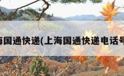 上海国通快递(上海国通快递电话号码)